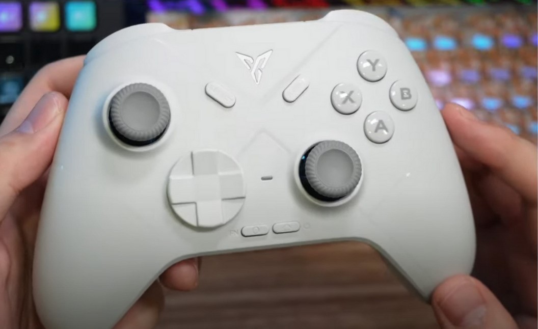 Flydigi Direwolf 3