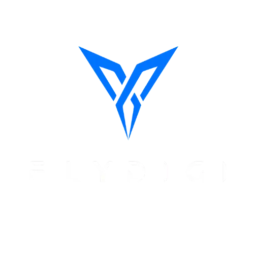 Flydigi Official