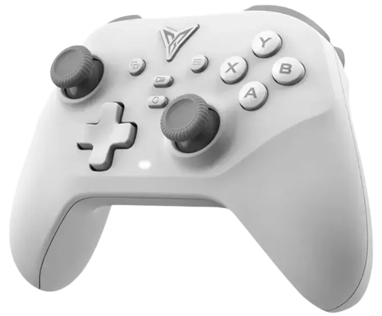 FLYDIGI DUNE FOX